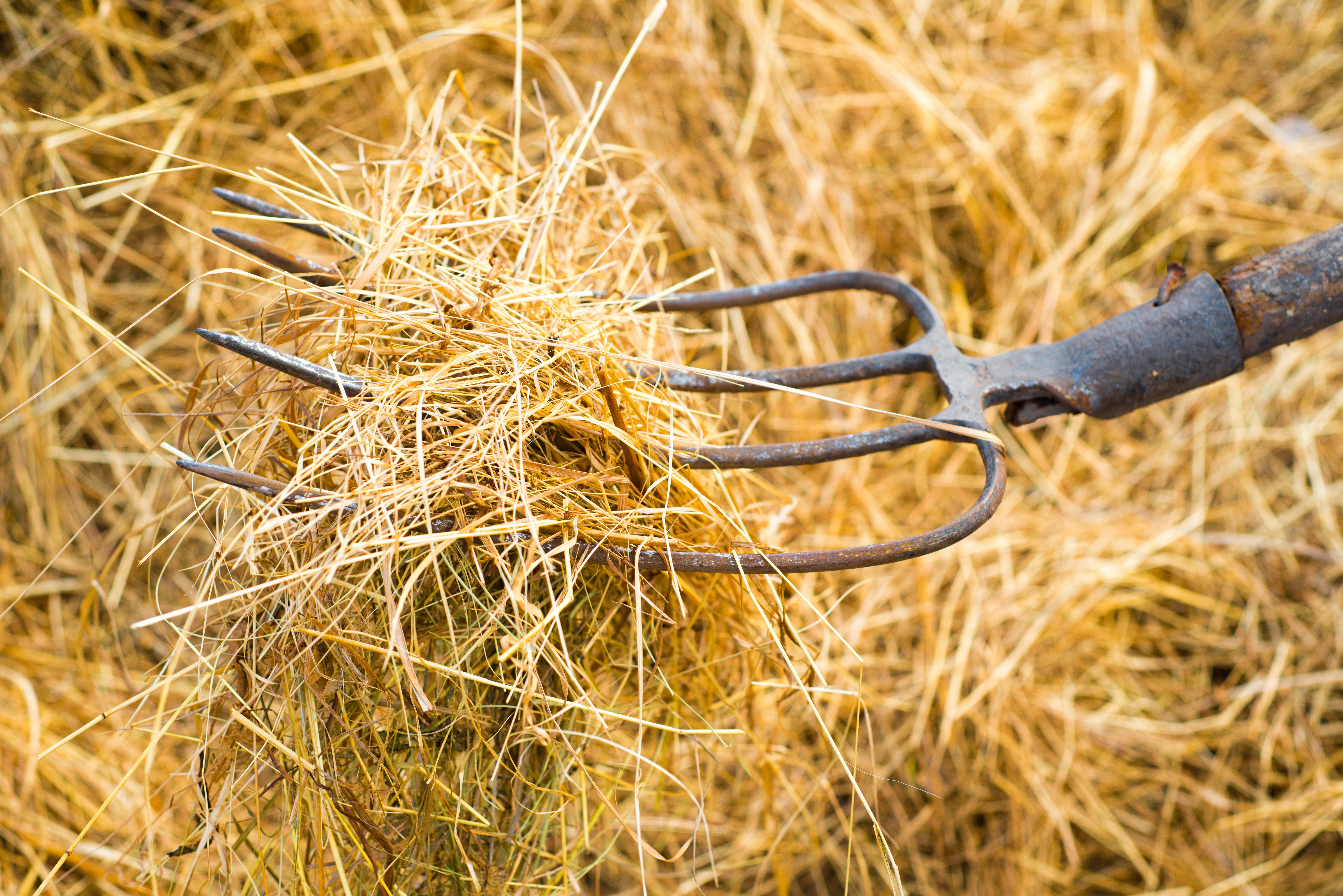 haystack