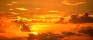 IMG_0320