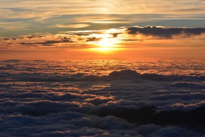 IMG_0567