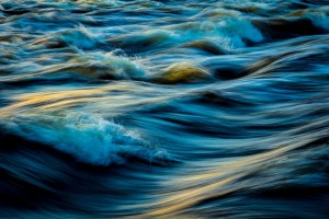 IMG_0568