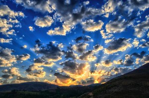 IMG_0606