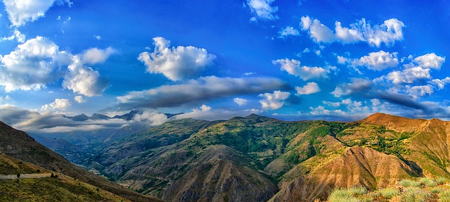 IMG_0639