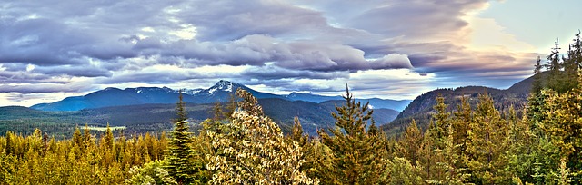 IMG_0667