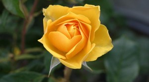 IMG_0717