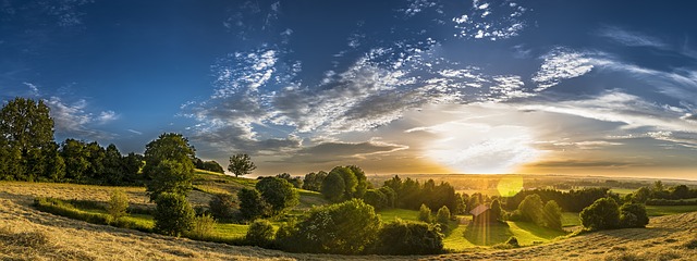 IMG_0719