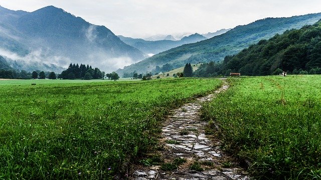 IMG_1261