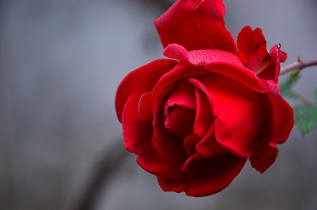 IMG_1289